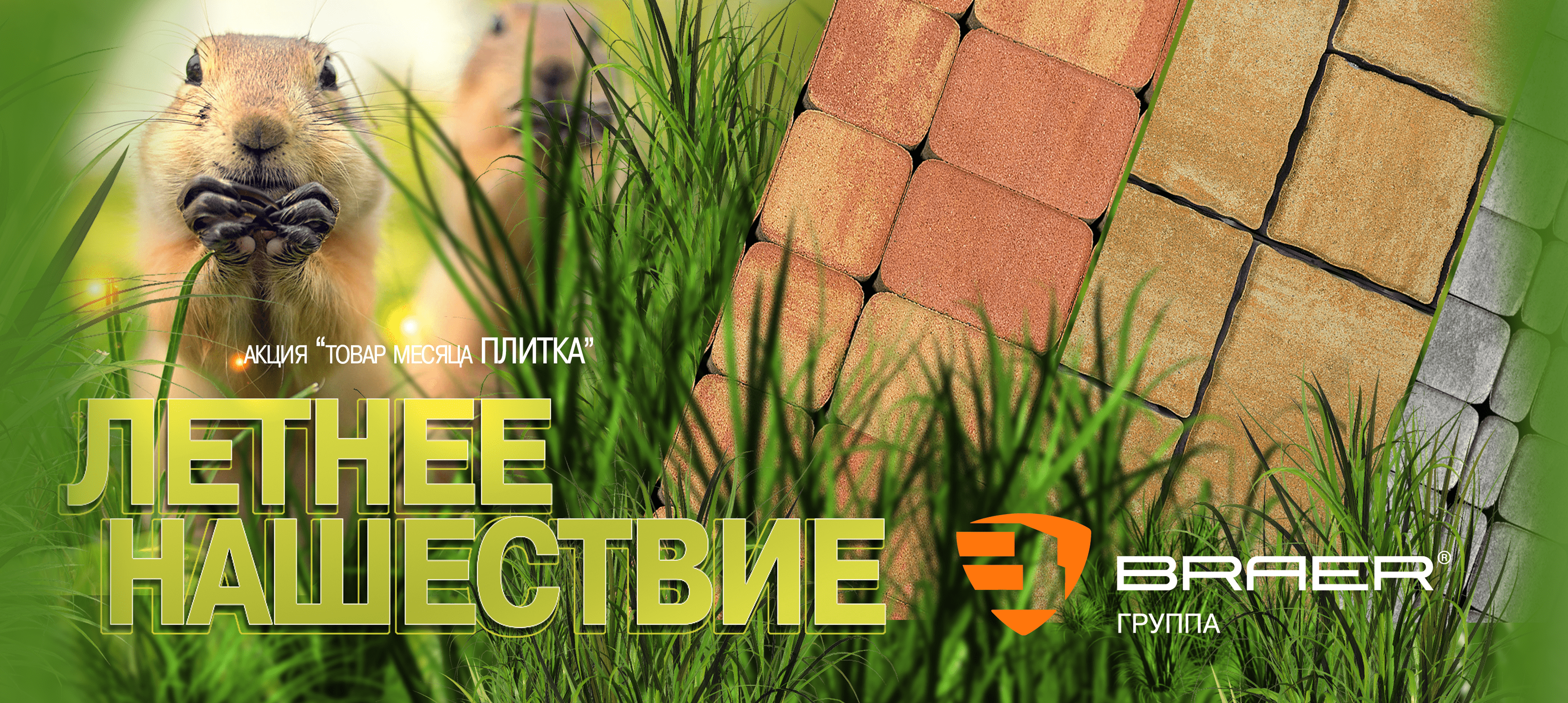 Браер акция на тротуарную плитку