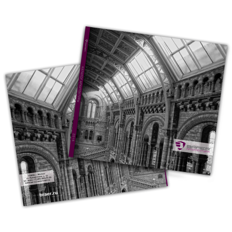braer_arch_2016_460.png braer_arch_2016_460.png