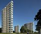 Кирпич Daas Baksteen Birchwood HF