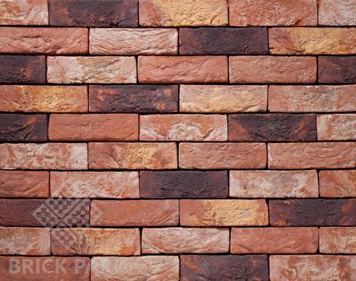 Кирпич Nelissen Old Haspengouw.BAEKEL WF50