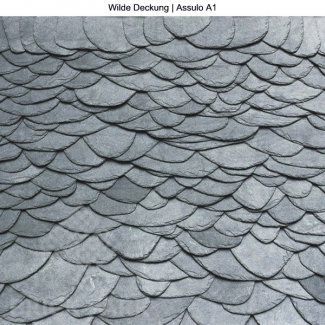 Кровельный сланец чешуйчатая Дикая Wilde