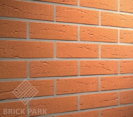 Клинкерная плитка Feldhaus Klinker Terracotta Rustico R 227 NF 9