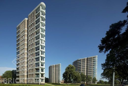 Кирпич Daas Baksteen Birchwood SDF