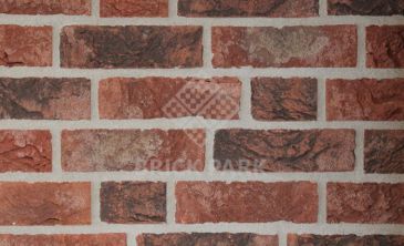 Кирпич Daas Baksteen Barton WDF