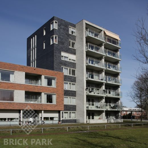 Кирпич Daas Baksteen Aston NF