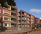 Кирпич Daas Baksteen Purplewood WDF