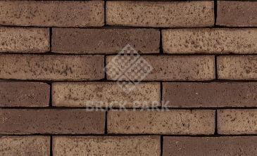 Кирпич Terca Latero Castana WF50