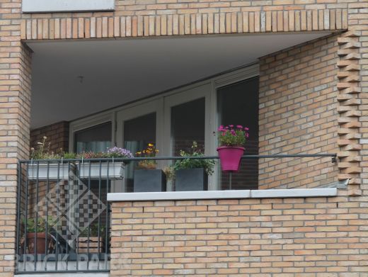 Кирпич Daas Baksteen Oud Zuid WDF