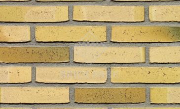 Кирпич Terca TEUNISBLOEM WF50