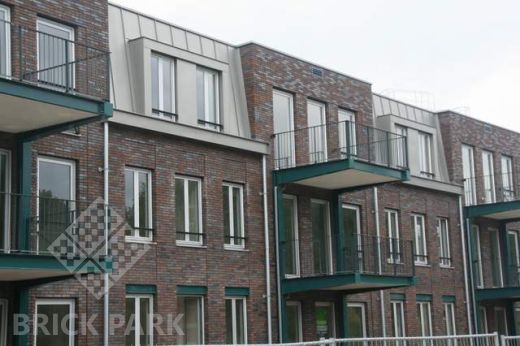 Кирпич Daas Baksteen Pinewood SDF