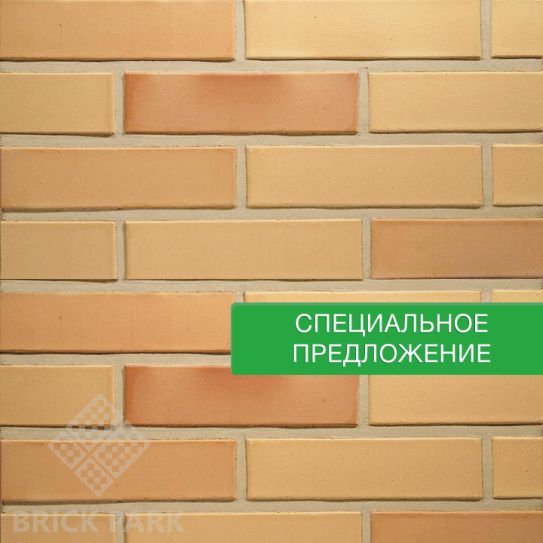 Кирпич Terca Rosso гладкий FAT 65-85