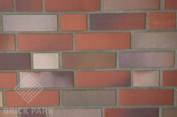 Кирпич Abc 5054 Reisenbeck rot-bunt-geflammt NF90