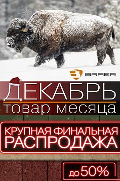 Товар месяца БРАЕР Декабрь 2020 Товар месяца БРАЕР Декабрь 2020
