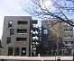 Кирпич Daas Baksteen Ramsey SNF