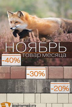 Товар месяца БРАЕР Ноябрь 2020 Товар месяца БРАЕР Ноябрь 2020