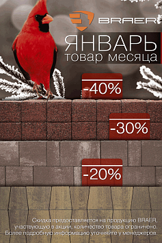 Товар месяца БРАЕР Январь Товар месяца БРАЕР Январь