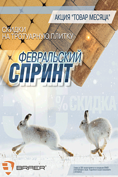 Товар месяца БРАЕР Февраль Товар месяца БРАЕР Февраль