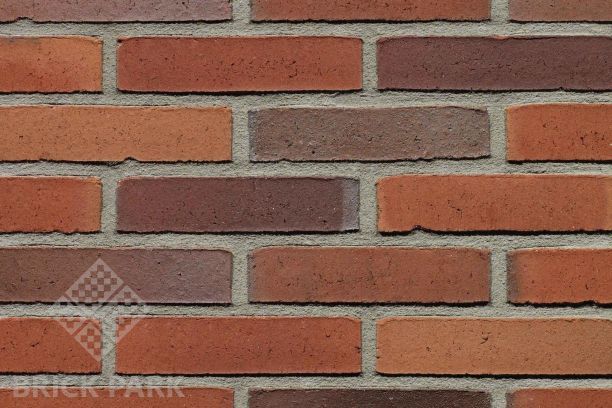 Кирпич Terca PASSIEBLOEM WF50 