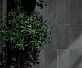 Керамогранит Italgraniti Stone D Quarzite Grafite 30x60