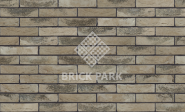 Кирпич Nelissen Roca WF50