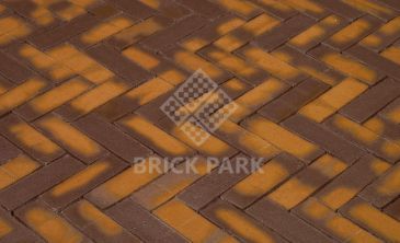 Клинкерная брусчатка Penter Zonnebloem Wasserstrich DF85