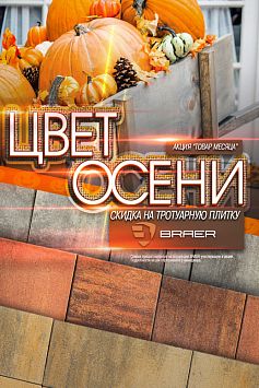 Товар месяца БРАЕР Октябрь 2019 Товар месяца БРАЕР Октябрь 2019