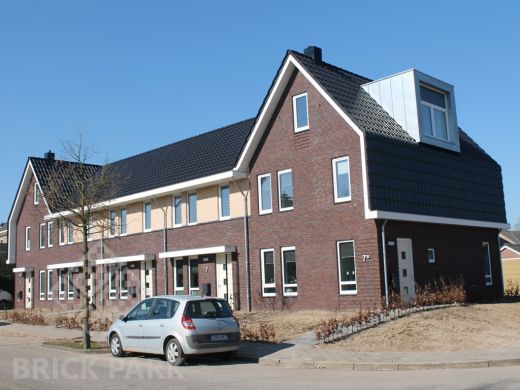 Кирпич Daas Baksteen Rozengaarden WF