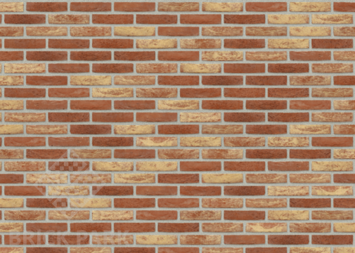 Кирпич Nelissen Nuance Famenne Antik WDF65