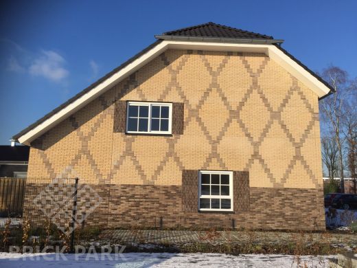 Кирпич Daas Baksteen Hamar WF