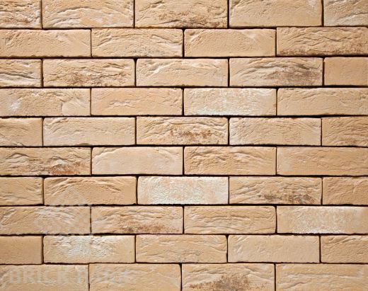 Кирпич Nelissen Braga WF50
