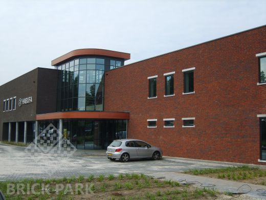 Кирпич Engels Limburgs oranje bont WDF