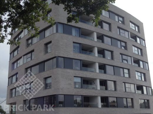 Кирпич Daas Baksteen Birchridge WF