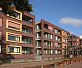 Кирпич Daas Baksteen Purplewood NF
