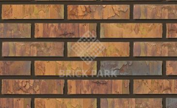 Кирпич Daas Baksteen Oakwood WF
