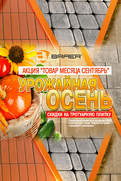 Товар месяца БРАЕР Сетябрь Товар месяца БРАЕР Сетябрь