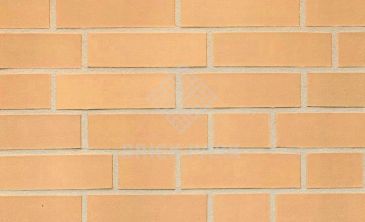  Кирпич Hagemeister Klinker Limburg Gt
