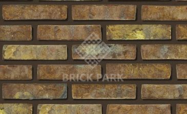 Кирпич Daas Baksteen Golborn WF