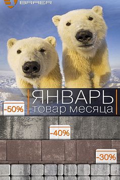 Товар месяца БРАЕР январь 2021 Товар месяца БРАЕР январь 2021