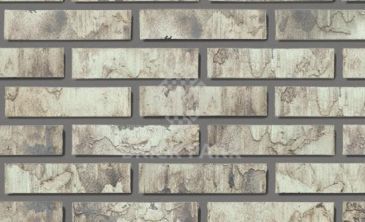 Кирпич Daas Baksteen Birchwood SDF
