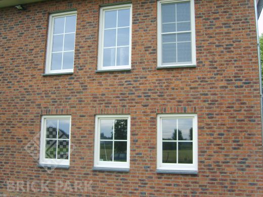 Кирпич Engels Koper roodbont WDF1/2
