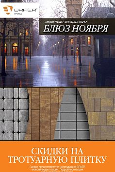 Товар месяца БРАЕР Ноябрь Товар месяца БРАЕР Ноябрь