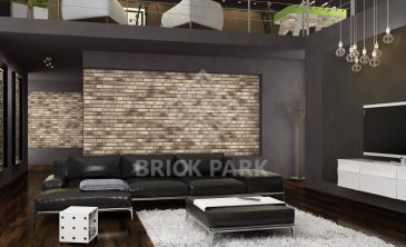 Клинкерная плитка Bricking 773 NF 14