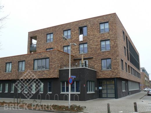 Кирпич Daas Baksteen Oakwood NF