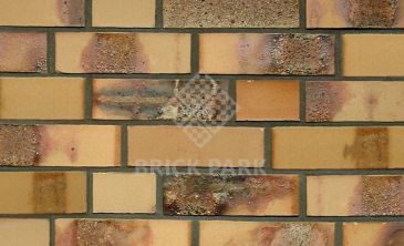  Кирпич Hagemeister Klinker Rostock DF Gt