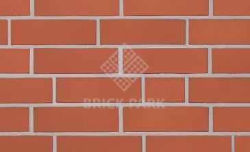 Кирпич Roben Westerwald красный 1/2 DF