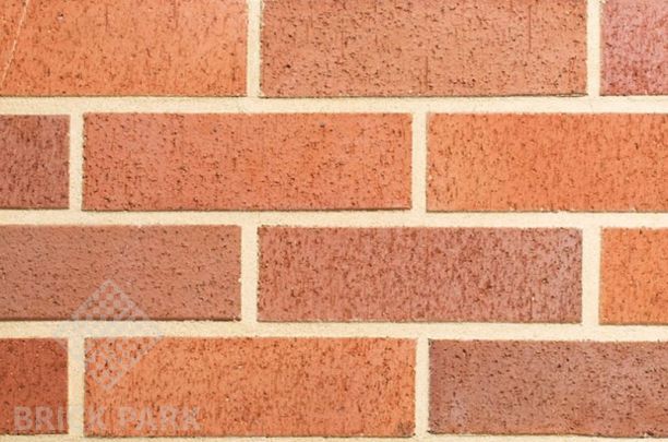 Кирпич Abc 0057 Suddendorf rot bunt geflammt NF90