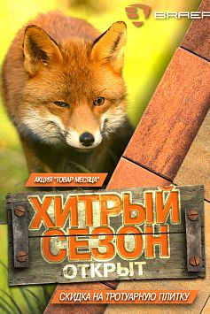 Товар месяца БРАЕР Сентябрь 2019 Товар месяца БРАЕР Сентябрь 2019