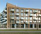 Кирпич Daas Baksteen Puttywood WF